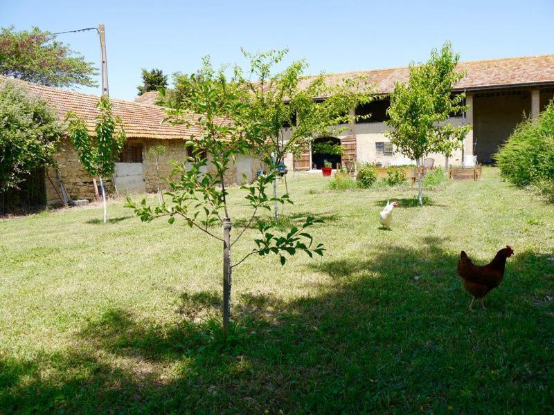 Ferme St Pierre 2 Suites Avec Repas, Piscine, Clim, Cheminee Ou Baignoire Spa Chabeuil エクステリア 写真
