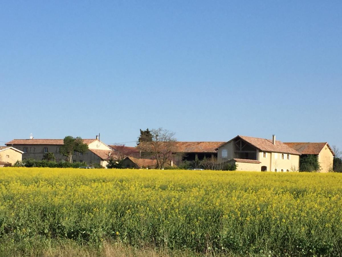 Ferme St Pierre 2 Suites Avec Repas, Piscine, Clim, Cheminee Ou Baignoire Spa Chabeuil エクステリア 写真